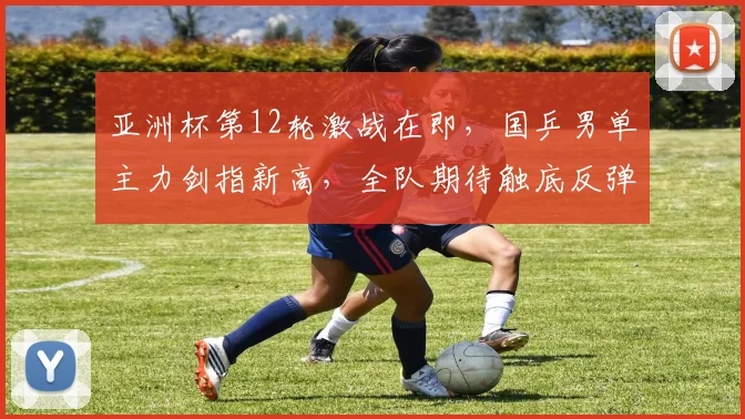亚洲杯第12轮激战在即，国乒男单主力剑指新高，全队期待触底反弹