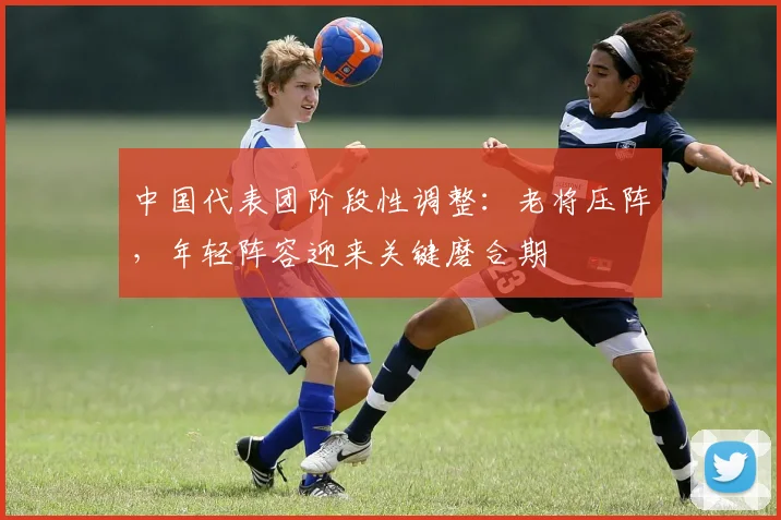 中国代表团阶段性调整：老将压阵，年轻阵容迎来关键磨合期